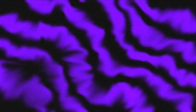 What Is Sneaker Reselling? Beginner Guide